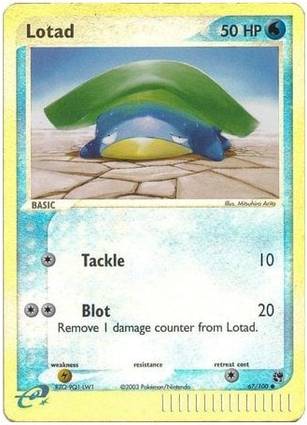 Lotad