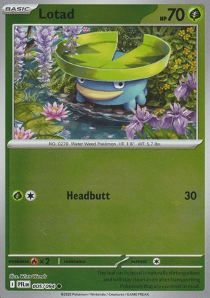 Lotad