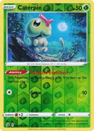 Caterpie