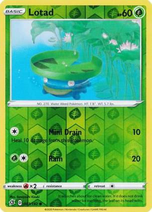 Lotad