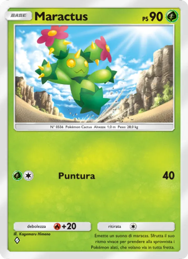 Maractus