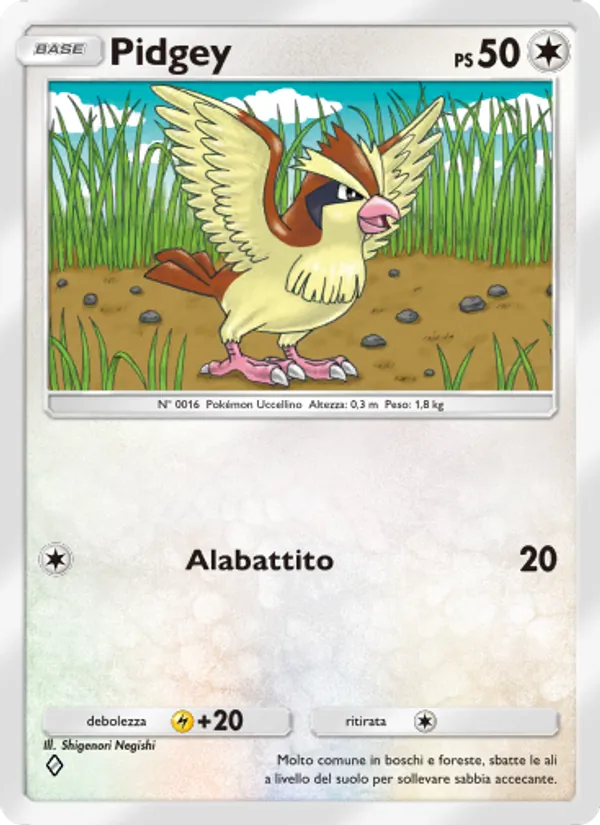 Pidgey