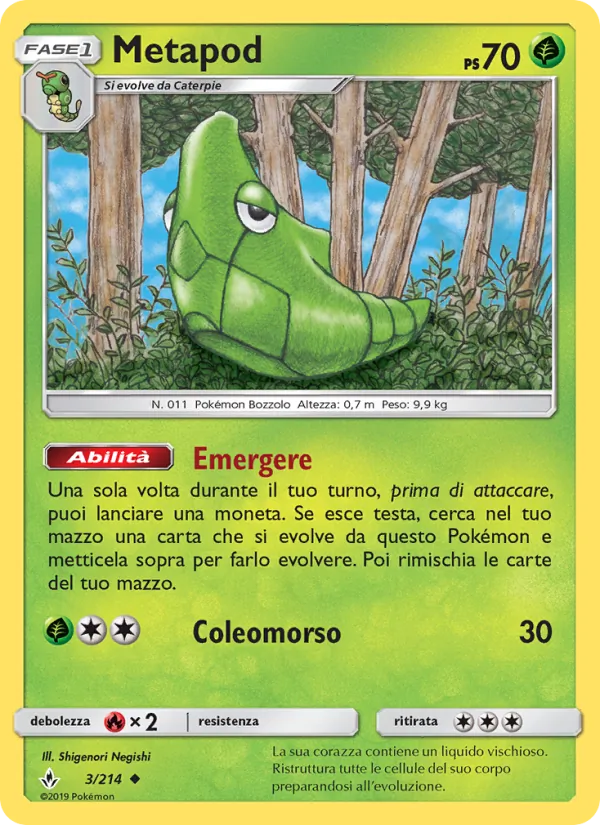Metapod