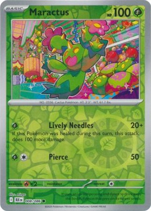Maractus