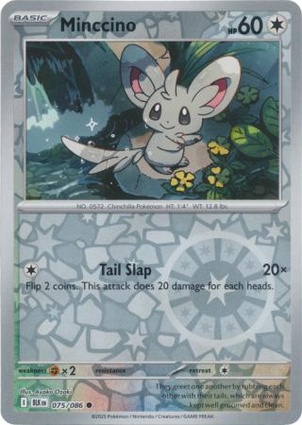 Minccino