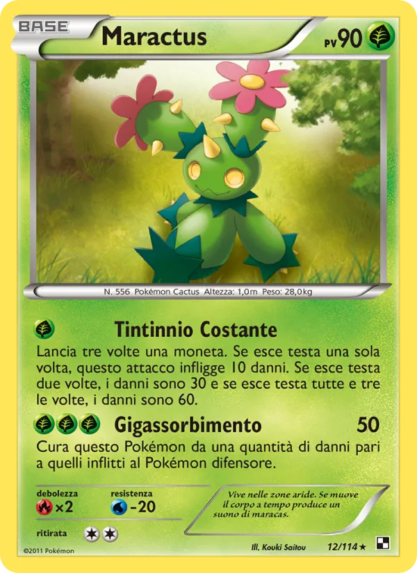 Maractus