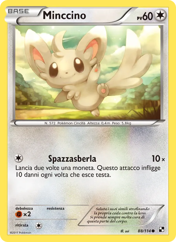 Minccino