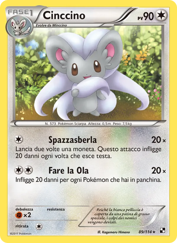 Cinccino