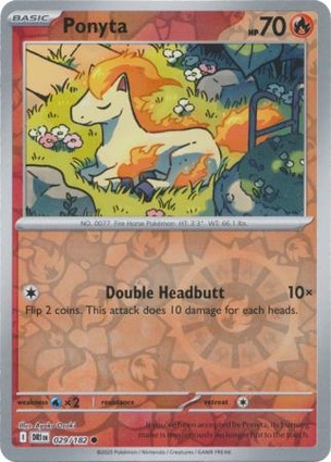 Ponyta