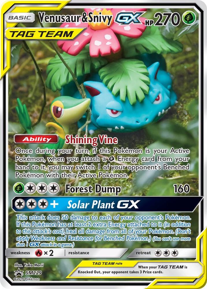 Venusaur e Snivy GX