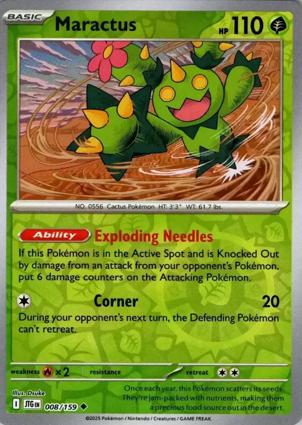 Maractus