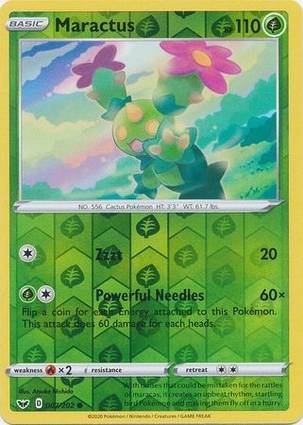 Maractus