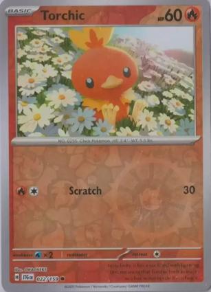 Torchic