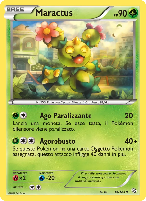 Maractus