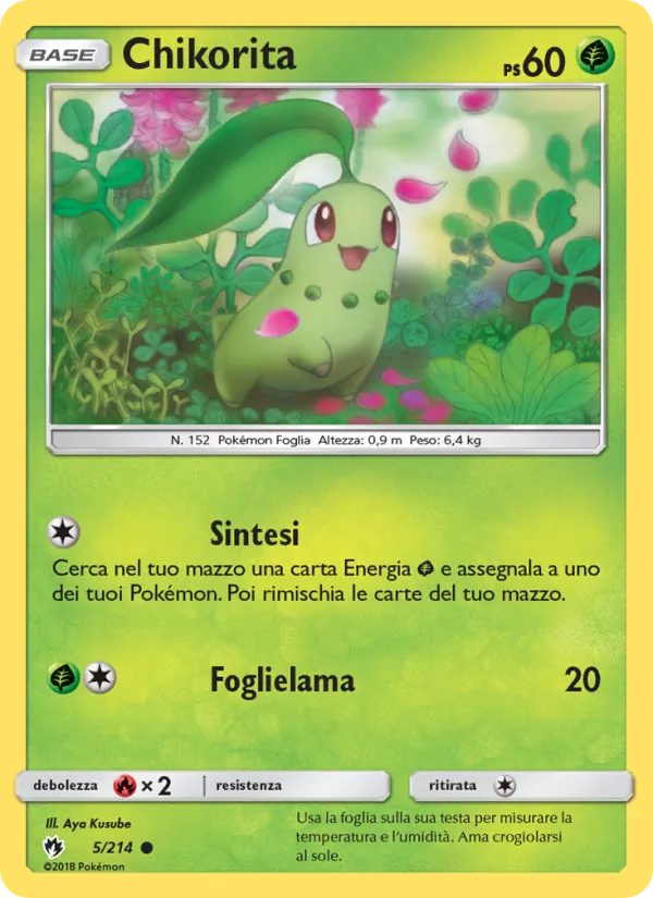 Chikorita
