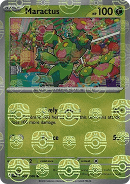 Maractus