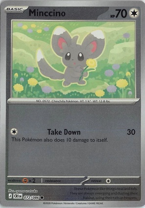 Minccino