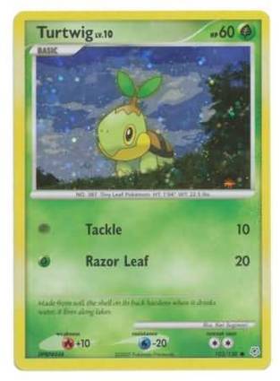 Turtwig