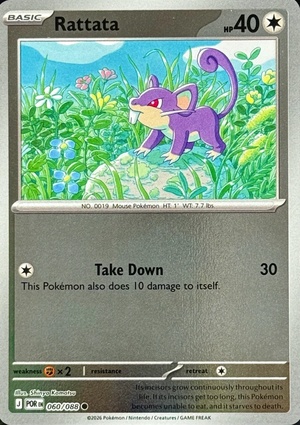 Rattata