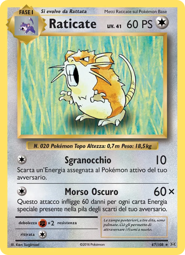 Raticate