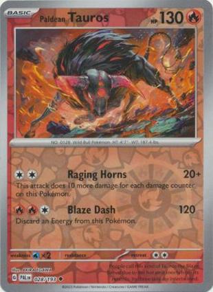 Tauros di Paldea